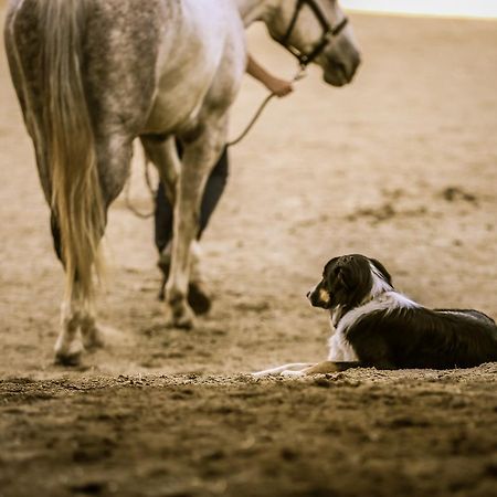 Western Pleasure Guest Ranch Sandpoint Luaran gambar