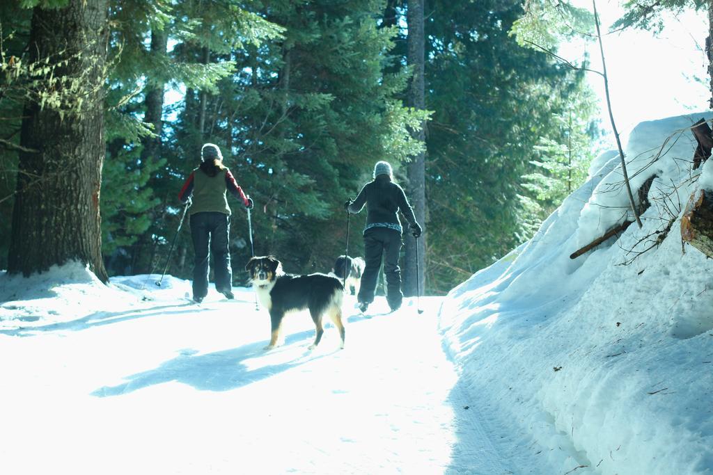 Western Pleasure Guest Ranch Sandpoint Luaran gambar