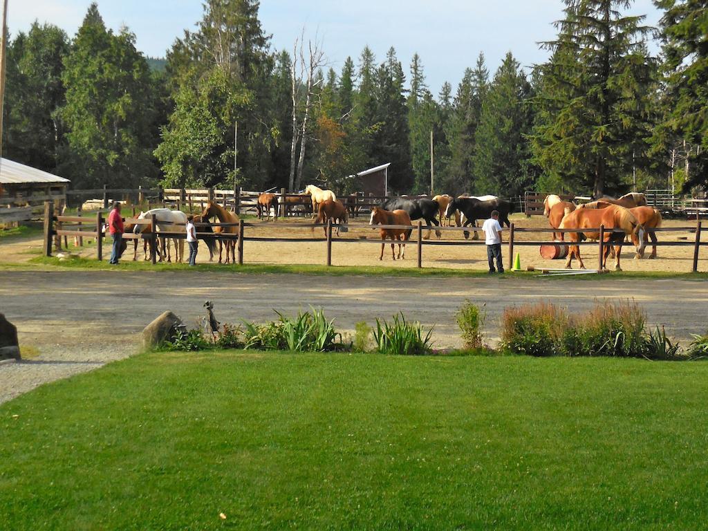 Western Pleasure Guest Ranch Sandpoint Luaran gambar