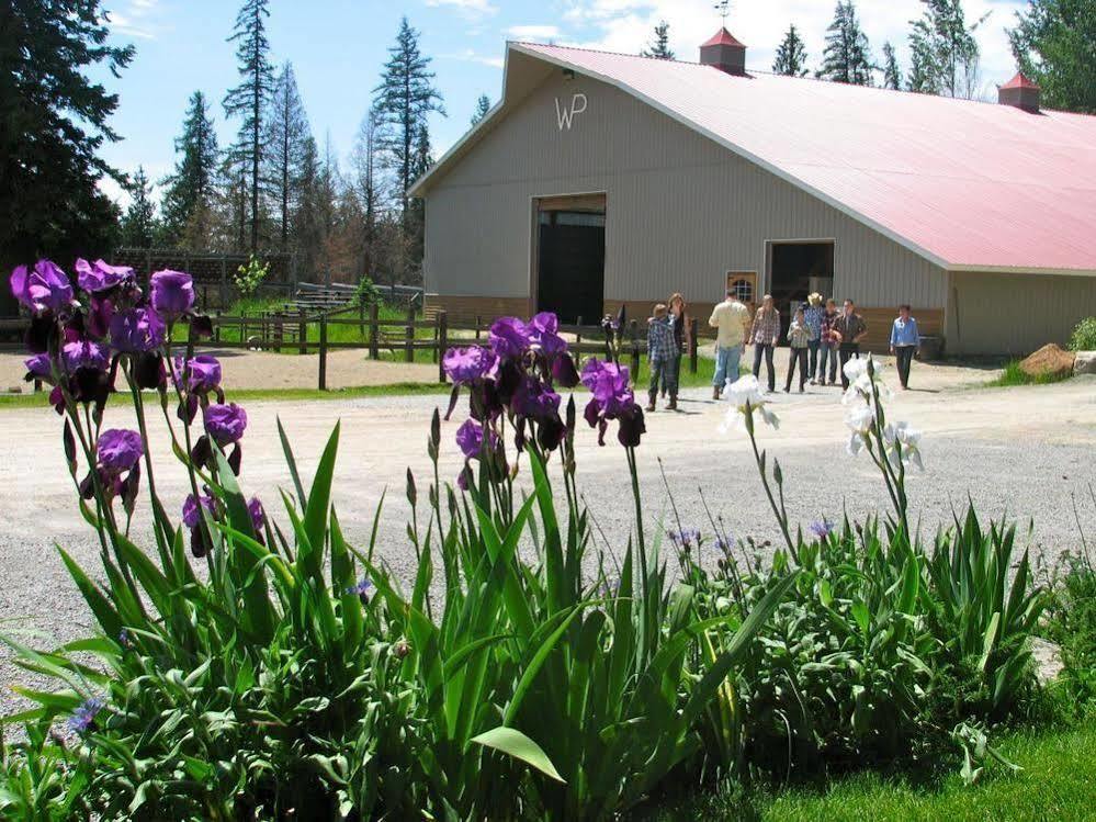 Western Pleasure Guest Ranch Sandpoint Luaran gambar